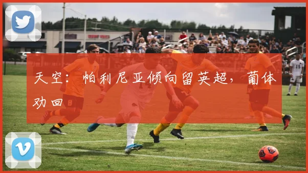 天空:帕利尼亚倾向留英超,葡体劝回